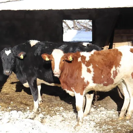 Farm stay Pechhof *