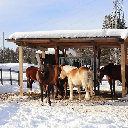 Pechhof インスブルック