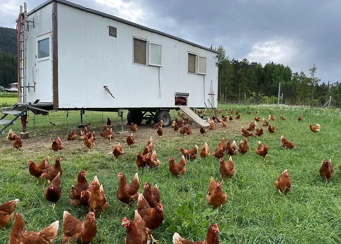 Pechhof * İnnsbruck