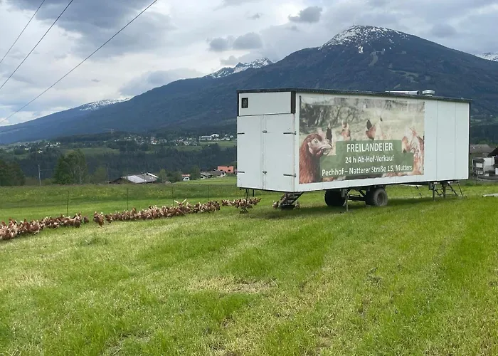 Pechhof Gospodarstwo agroturystyczne